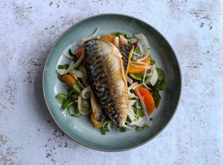 Grilled Mackerel with normal Salad